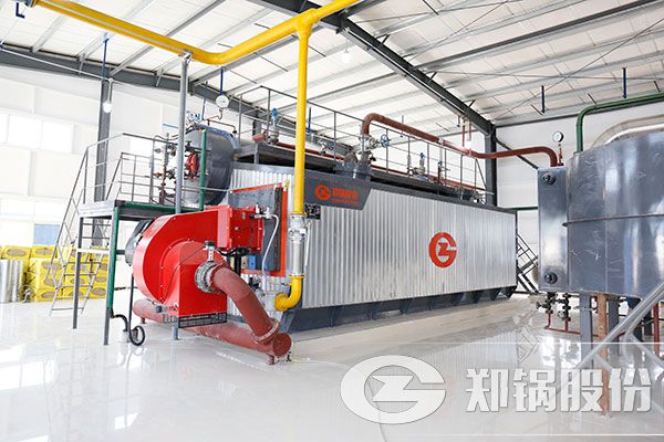 20吨天然气蒸汽锅炉