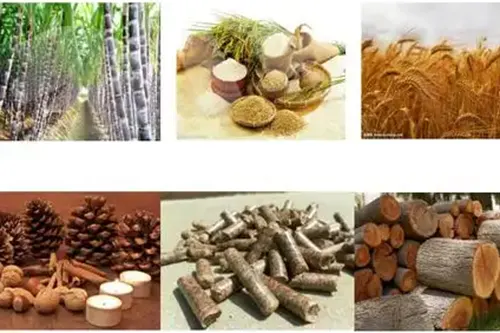 生物质锅炉对燃料有什么要求